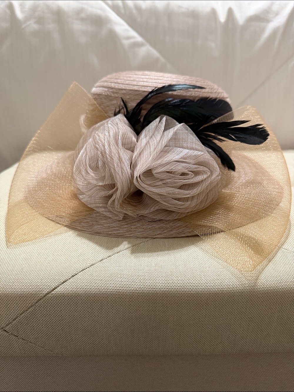 Beige Women's 57cmHat with Black Feather Detail